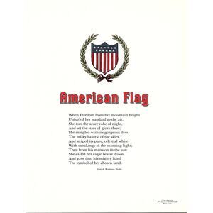 American Flag Joseph Rodman Drake 1980s Poem Retro Kitsch Wall Art SG5